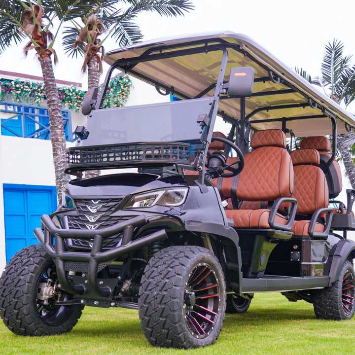 golf cart 1 (72).jpg